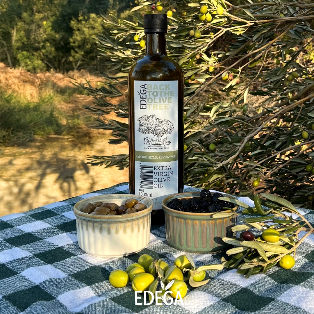 Erken Hasat Natürel Sızma Zeytinyağı 10 Litre Teneke Ambalaj (Filtreli)